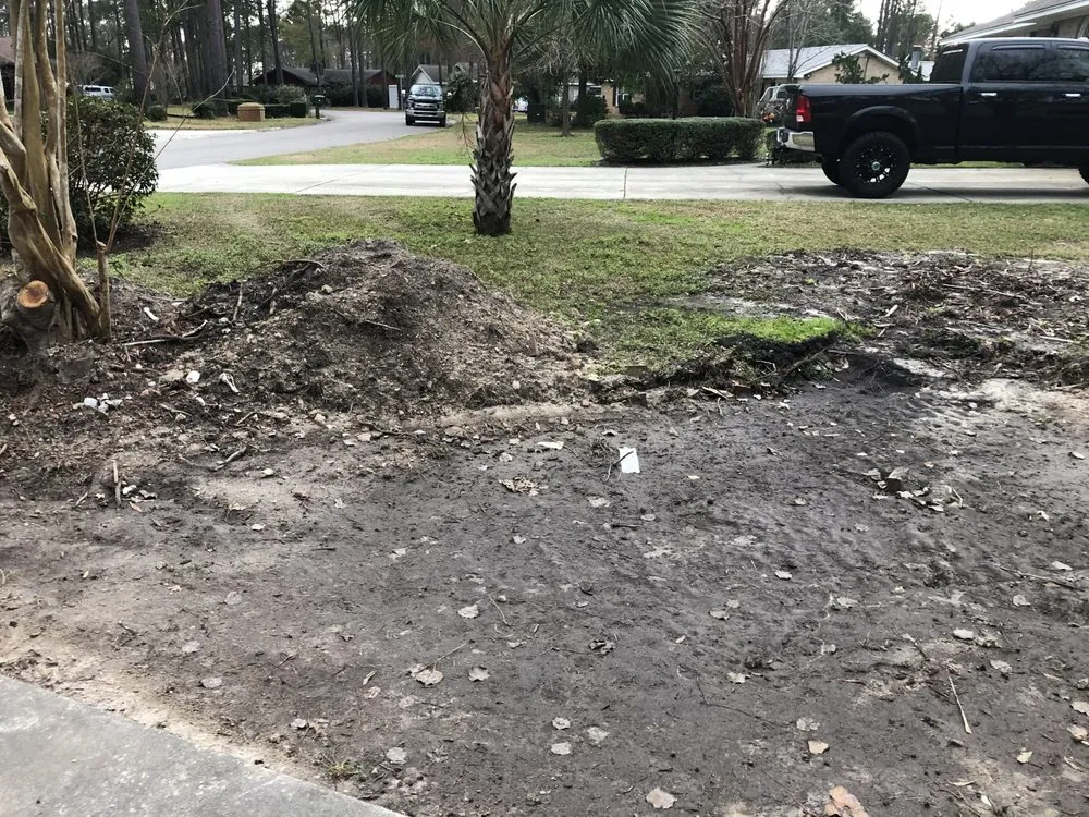 Affordable residential landscaping for homes across Murrells Inlet, SC - Beast Trees