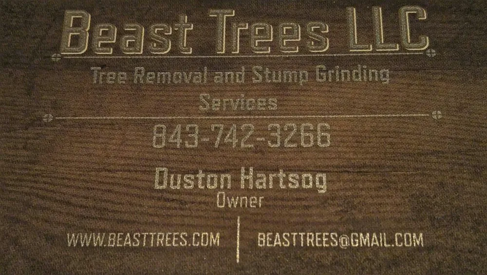 Professional outdoor landscaping in Murrells Inlet, SC by Beast Trees