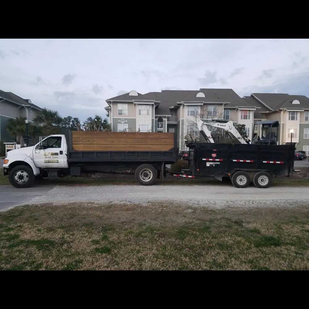 Reliable yard maintenance in Murrells Inlet, SC - Beast Trees