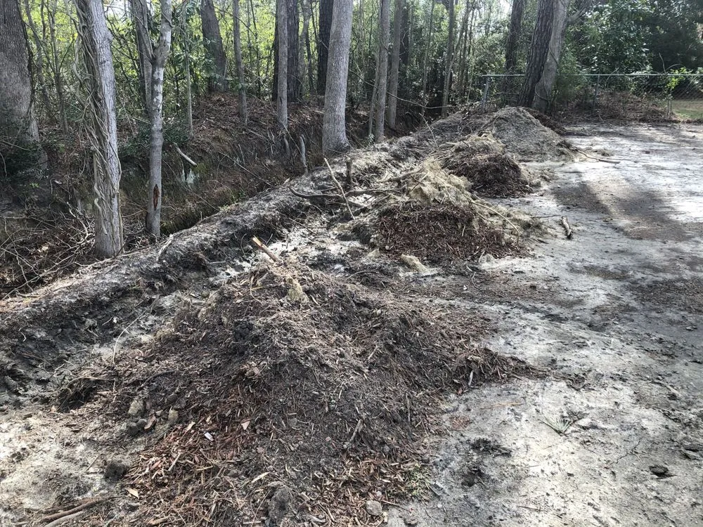 Professional landscape installation in Murrells Inlet, SC by Beast Trees