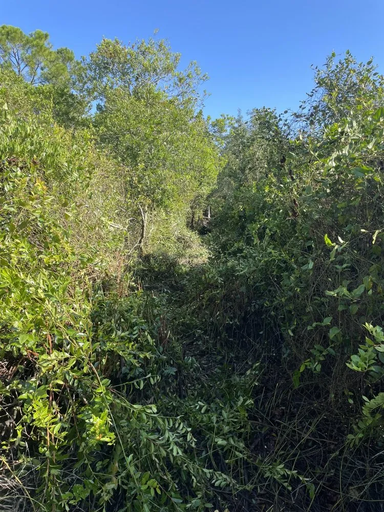 Professional landscaping services experts serving Cleveland, TN - Beastmode Property Services