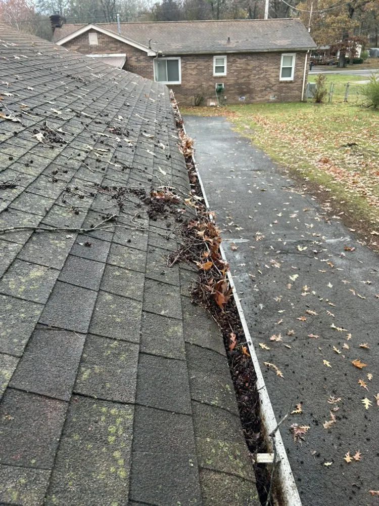 Expert yard maintenance for outdoor upgrades in Cleveland, TN by Beastmode Property Services