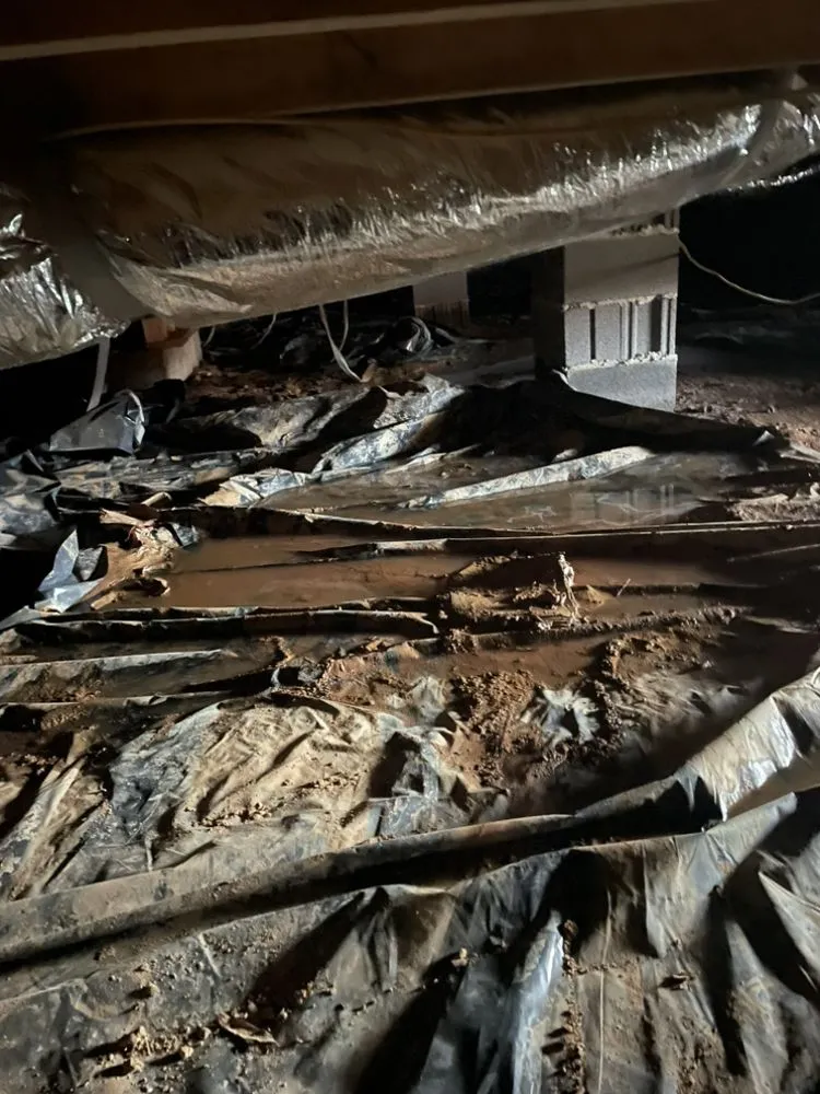 Affordable yard cleanup service in Cleveland, TN - Beastmode Property Services