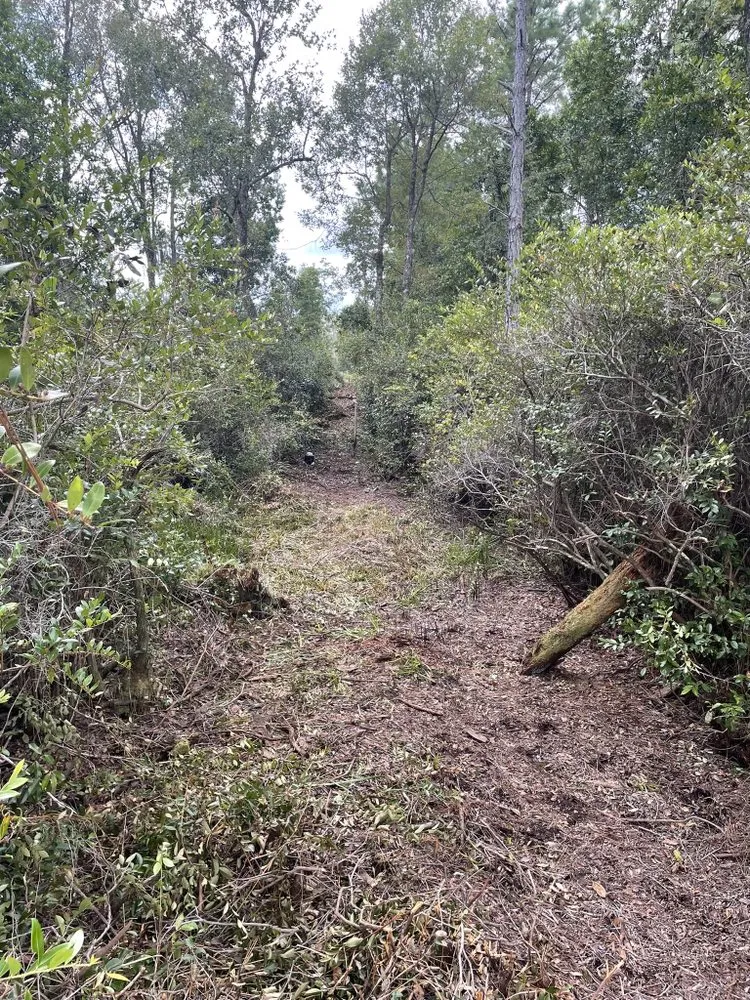 Reliable lawn care service experts serving Cleveland, TN - Beastmode Property Services