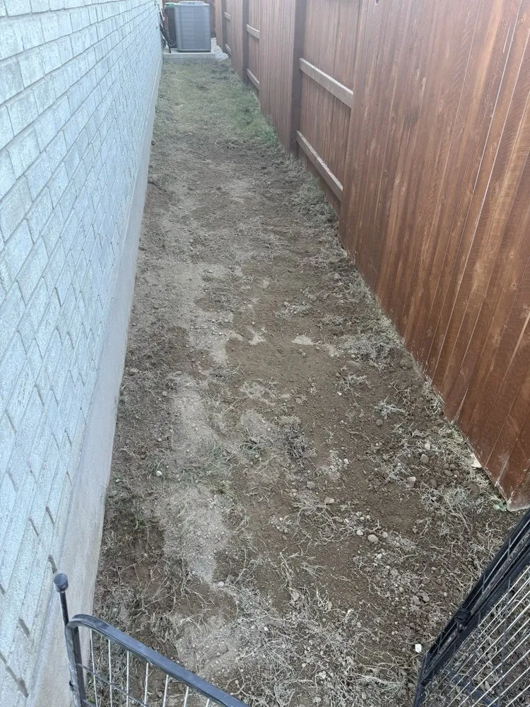 Trusted landscape installation for outdoor upgrades across San Antonio, TX - Beastmode