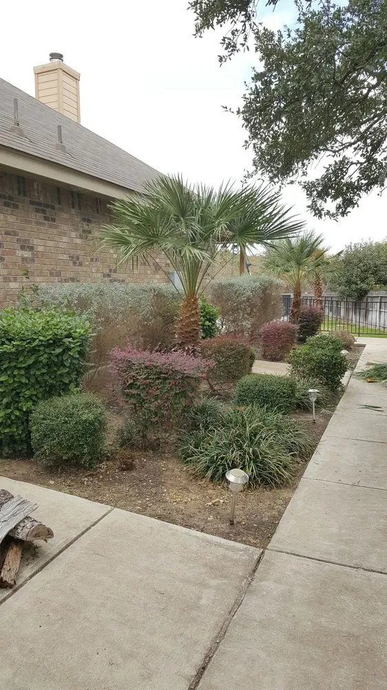 Trusted landscaping services in San Antonio, TX by Beastmode