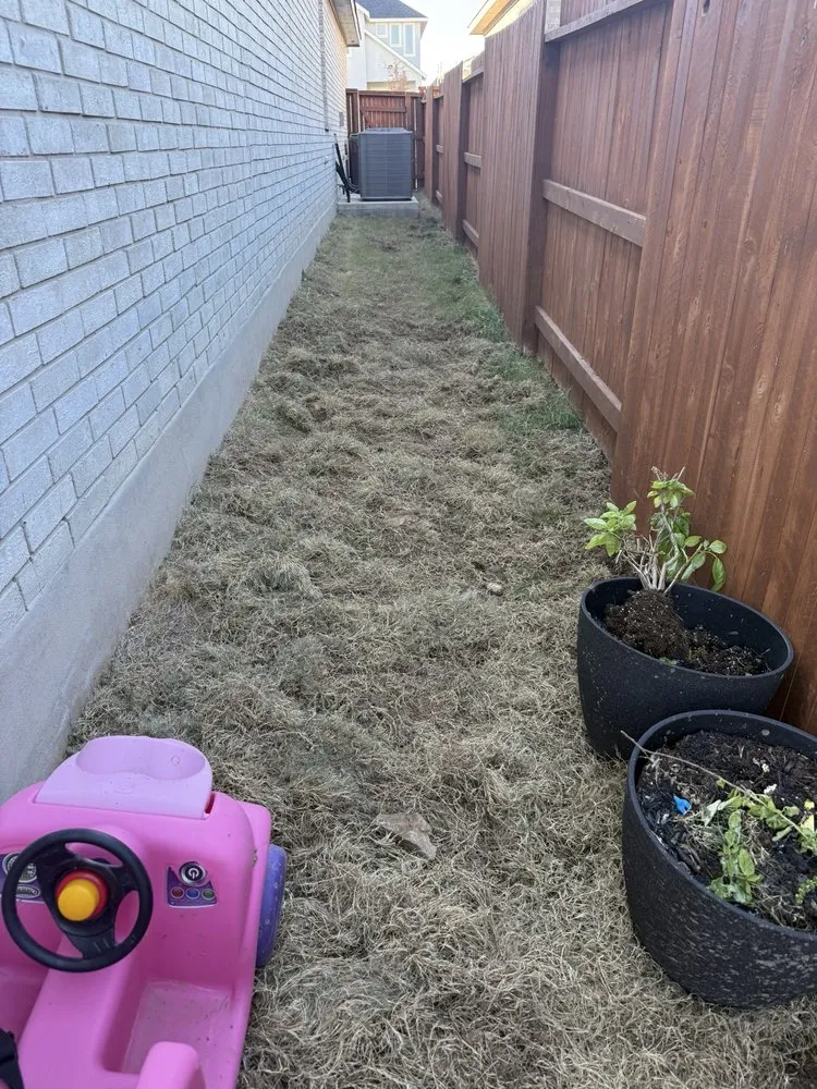 Custom landscape design in San Antonio, TX by Beastmode