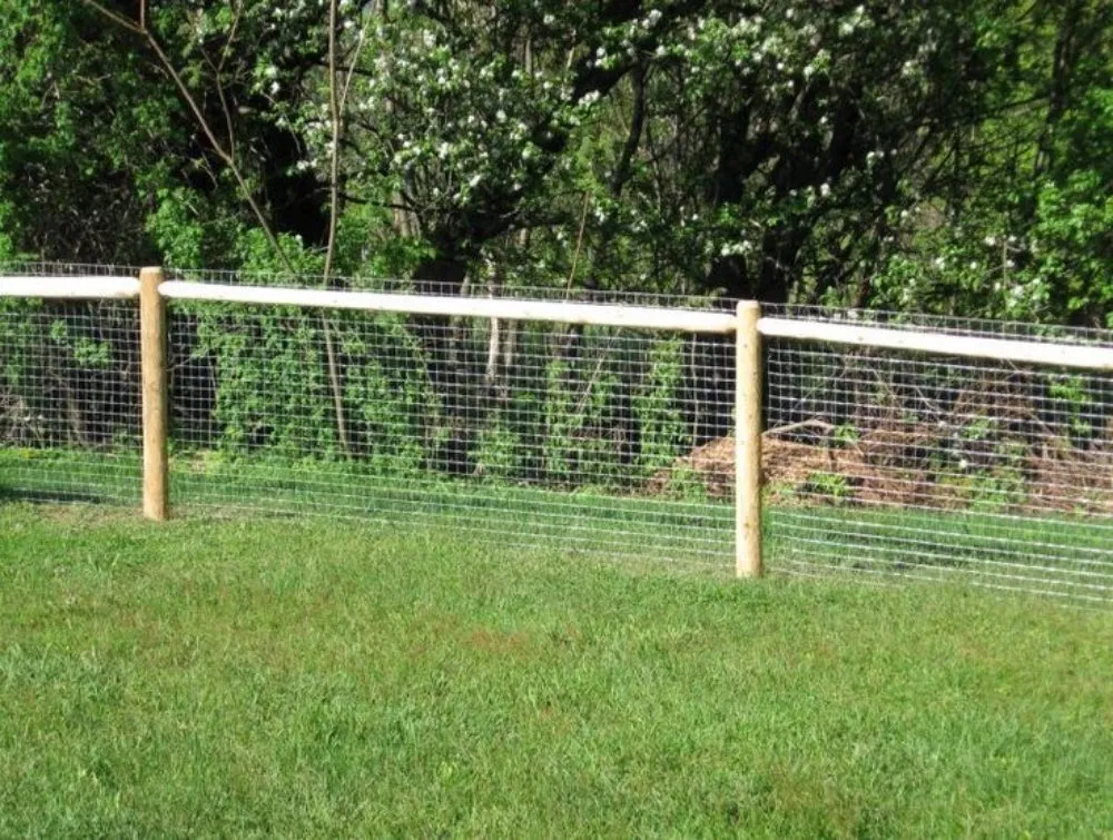 Top-rated yard maintenance in Oakman, AL - Beat 10 Contracting