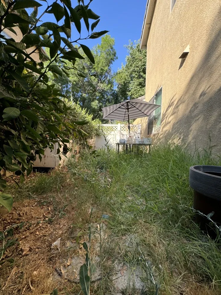 Affordable landscaping services in Bakersfield, CA - Beat Feet General Cleanup