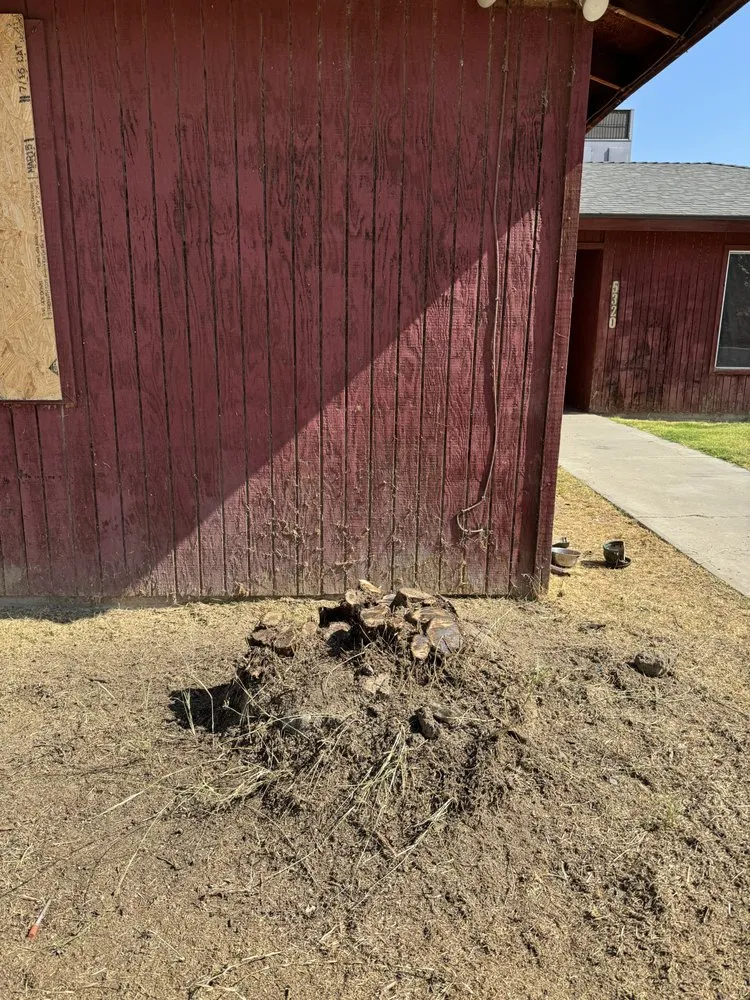 Reliable lawn care service in Bakersfield, CA by Beat Feet General Cleanup