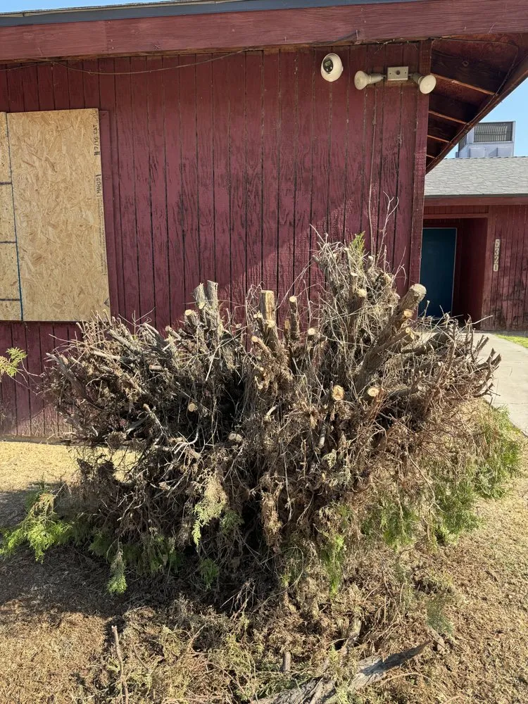 Professional yard maintenance in Bakersfield, CA by Beat Feet General Cleanup