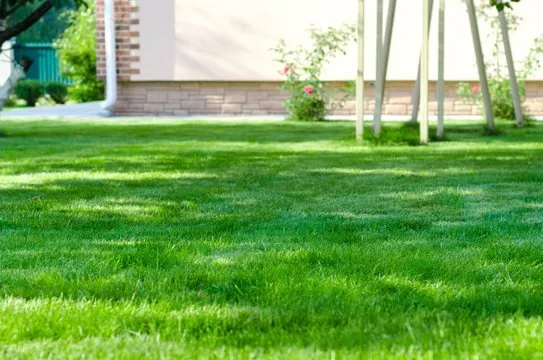 Affordable residential landscaping for beautiful yards in Virginia Beach, VA by Beat The Heat Irrigation