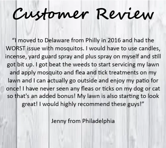 Professional outdoor landscaping in Chadds Ford, PA - Beat The Weeds Organic Based Lawn Care