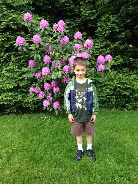 Top-rated yard maintenance for residential properties in Chadds Ford, PA by Beat The Weeds Organic Based Lawn Care