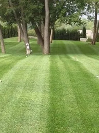 Reliable landscaping services in Chadds Ford, PA by Beat The Weeds Organic Based Lawn Care