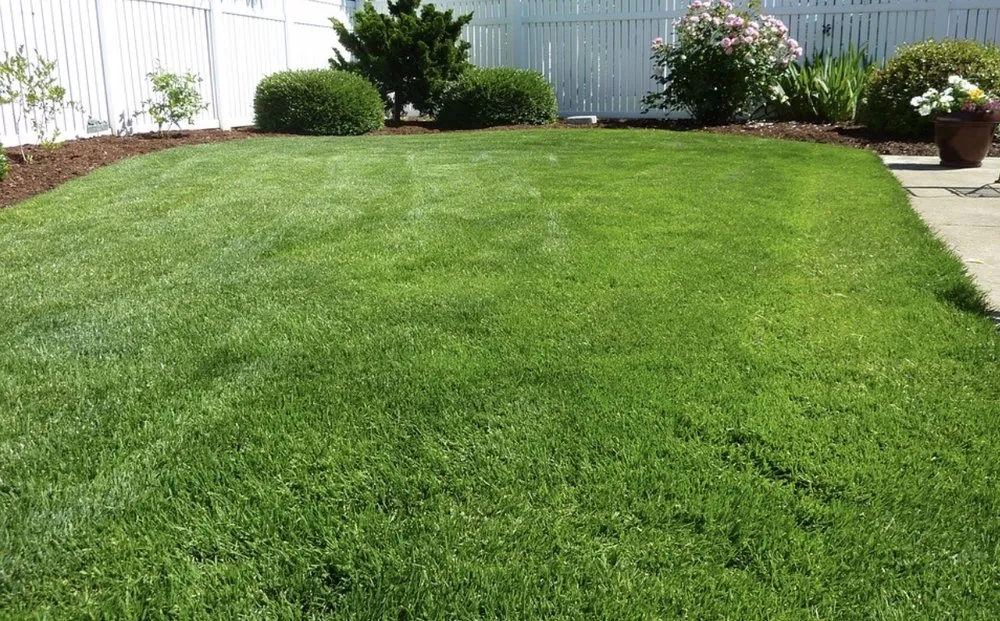 Local landscape installation experts serving Chadds Ford, PA - Beat The Weeds Organic Based Lawn Care