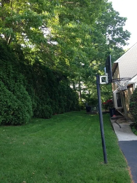 Expert lawn mowing service near you in Chadds Ford, PA by Beat The Weeds Organic Based Lawn Care