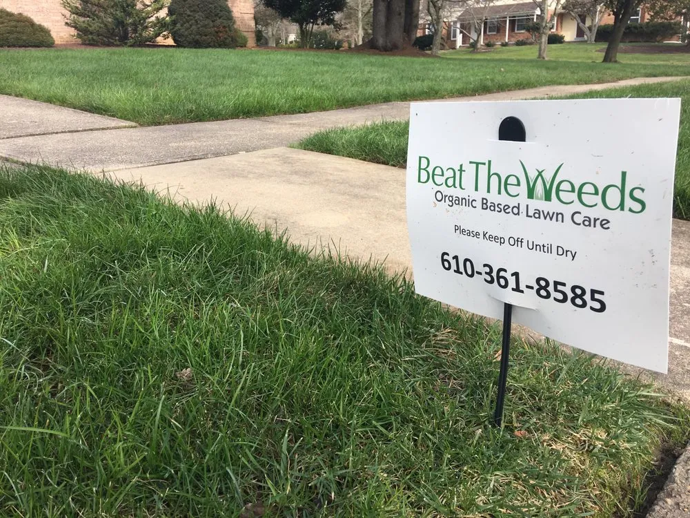 Custom yard cleanup service near you in Chadds Ford, PA by Beat The Weeds Organic Based Lawn Care