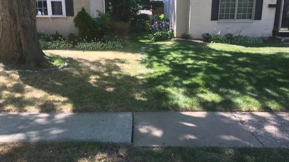 Reliable lawn care service for outdoor upgrades across Chadds Ford, PA - Beat The Weeds Organic Based Lawn Care