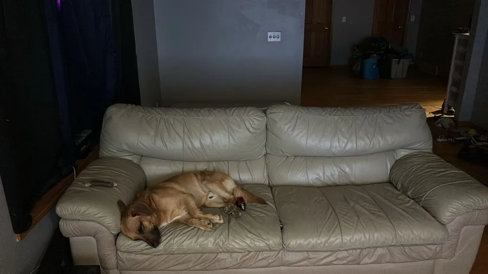 Trusted lawn care service for residential properties in Pleasantville, IA by Beatngu