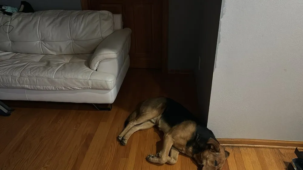 Professional residential landscaping for residential properties in Pleasantville, IA by Beatngu