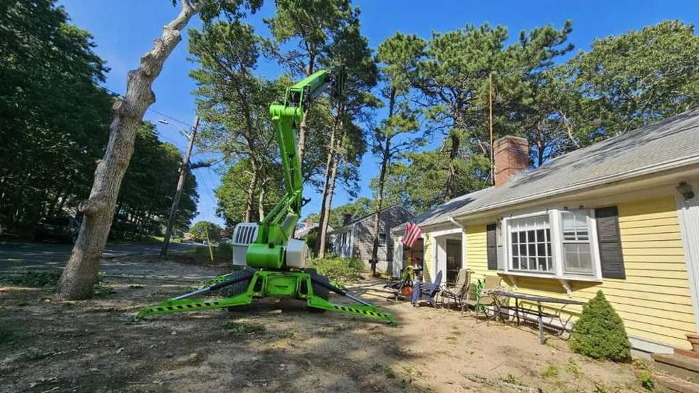 Expert yard maintenance experts serving Yarmouth, MA - Beaton’s Services