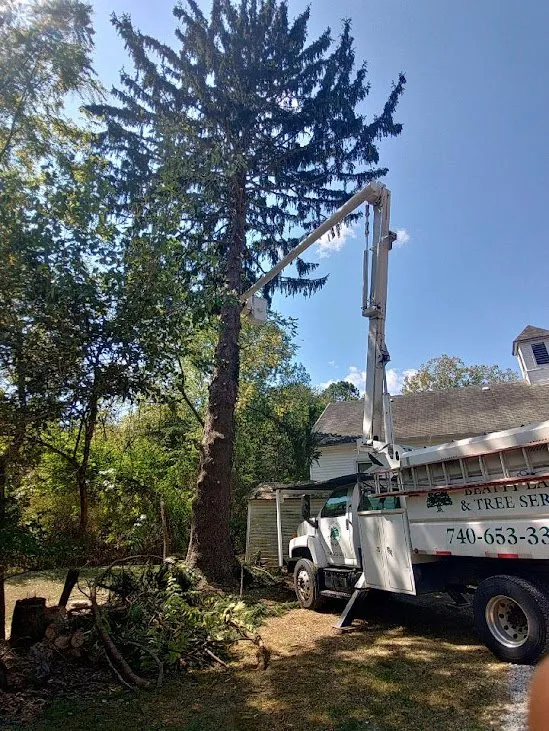 Affordable landscape design experts serving Lancaster, OH - Beatty Lawn & Tree