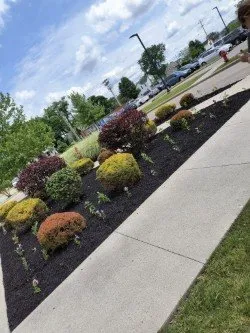 Trusted lawn care service experts serving Lancaster, OH - Beatty Lawn & Tree
