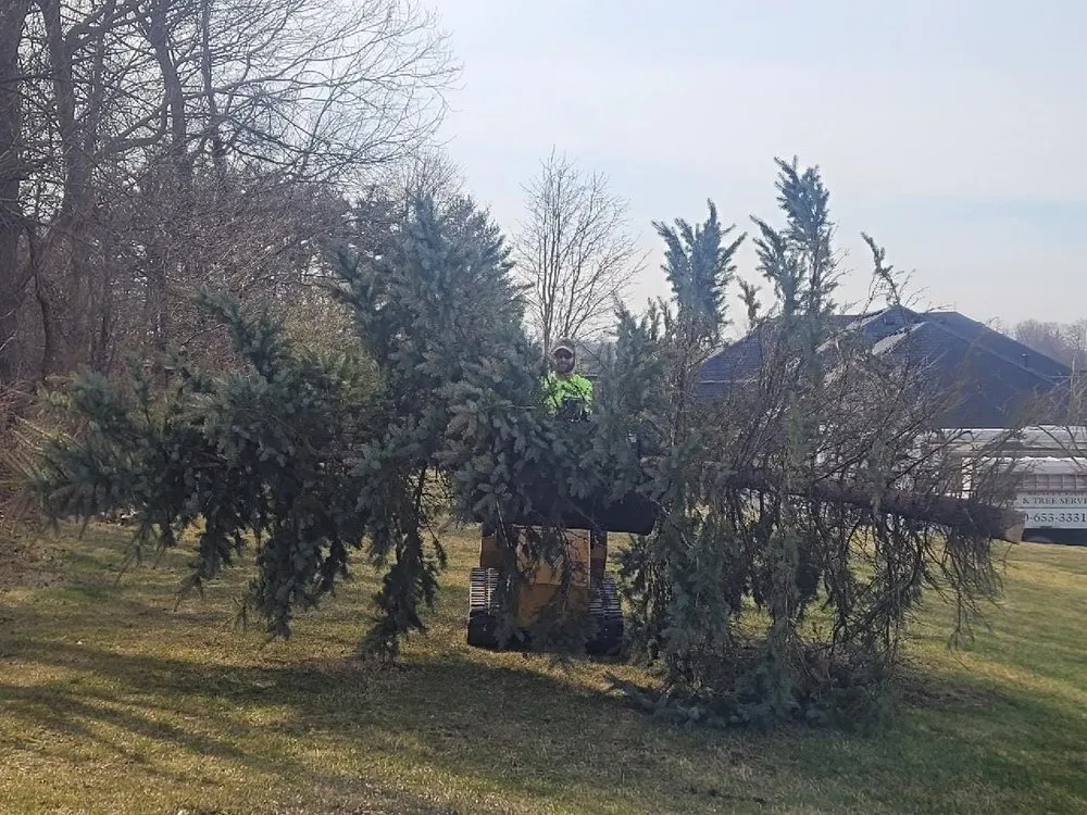 Local lawn care service experts serving Lancaster, OH - Beatty Lawn & Tree