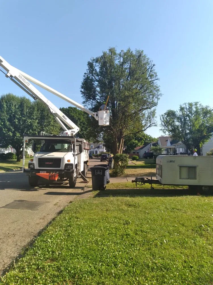 Trusted landscaping services experts serving Lancaster, OH - Beatty Lawn & Tree