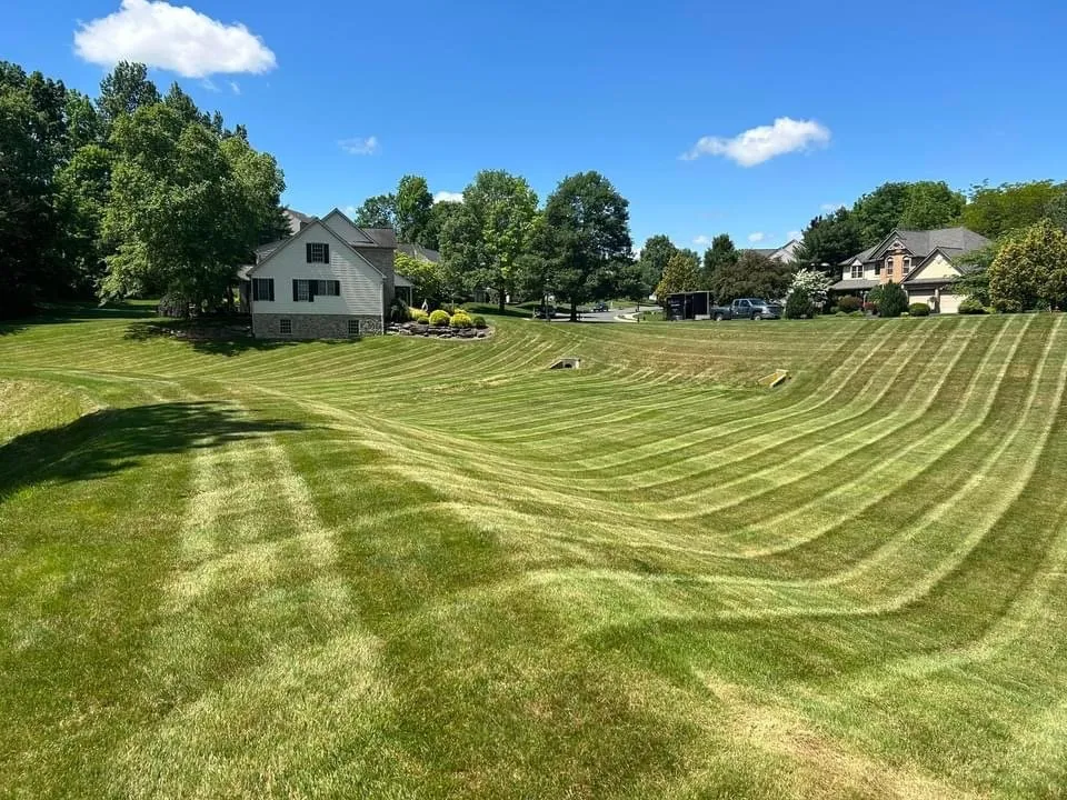 Top-rated yard cleanup service for residential properties in Lancaster, PA by Beatty Lawn and Landscapes