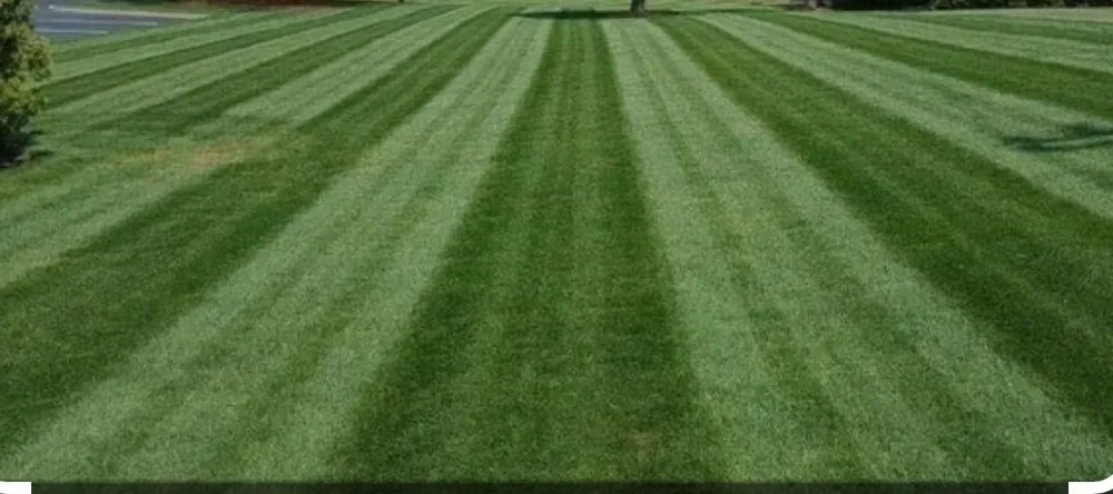 Custom residential landscaping experts serving Marlette, MI - Beatty Lawn Care