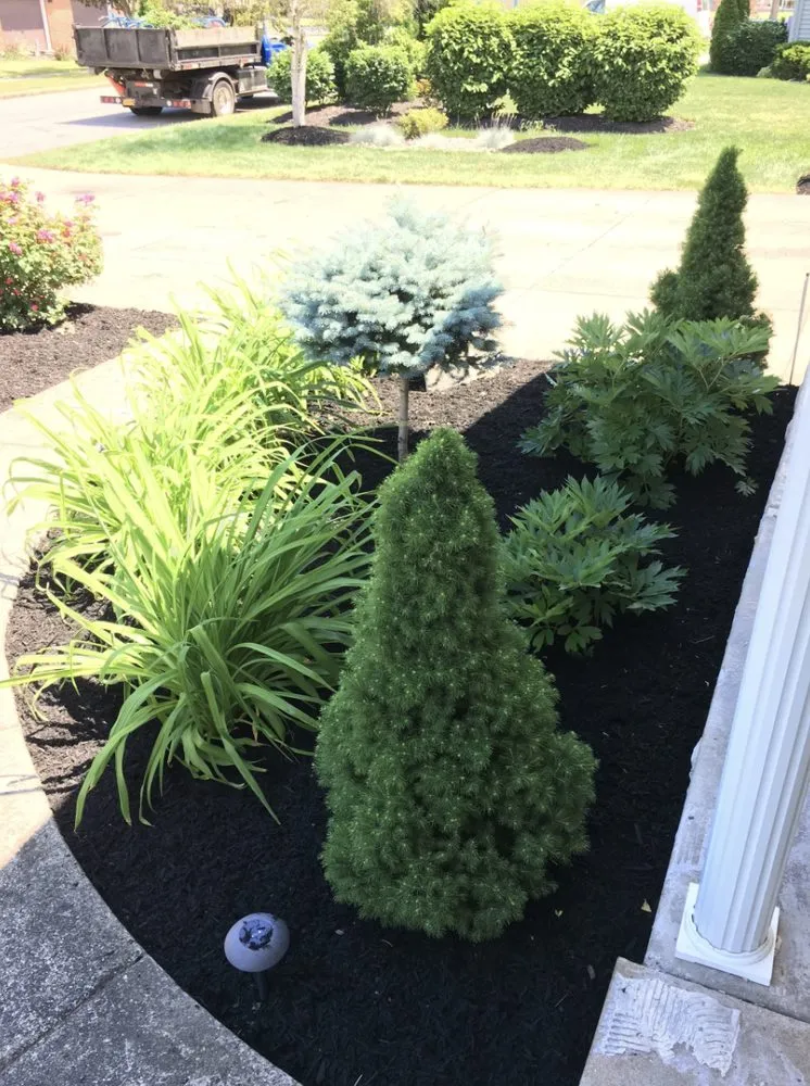 Custom yard cleanup service experts serving Ransomville, NY - Beau Enterprises Inc