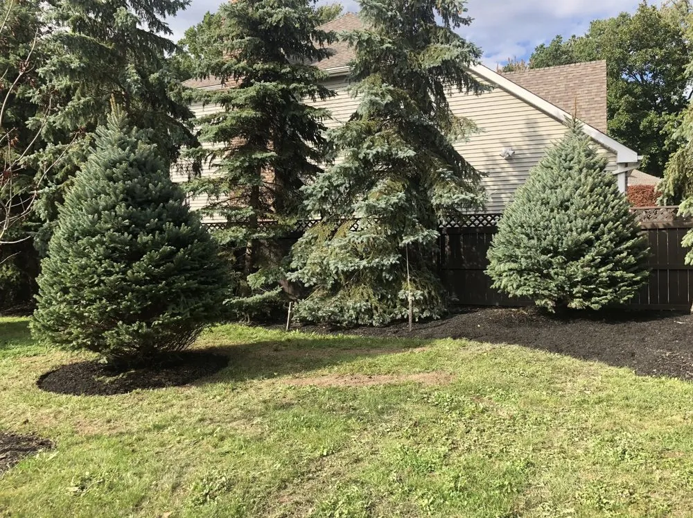 Top-rated landscaping services for outdoor upgrades across Ransomville, NY - Beau Enterprises Inc