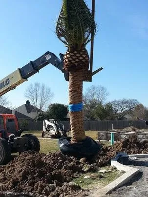 Local landscape design for year-round maintenance in Lafayette, LA by Beau Monde Landscape