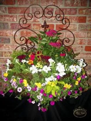 Top-rated yard maintenance in Lafayette, LA by Beau Monde Landscape