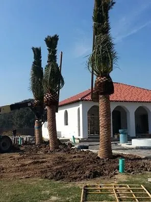 Expert landscape design for homes in Lafayette, LA by Beau Monde Landscape