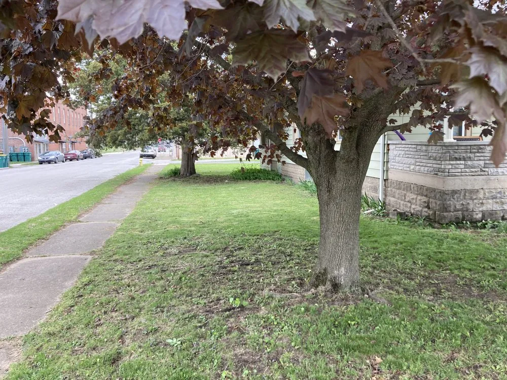 Custom landscape installation experts serving North Judson, IN - Beauchampion Lawn Care