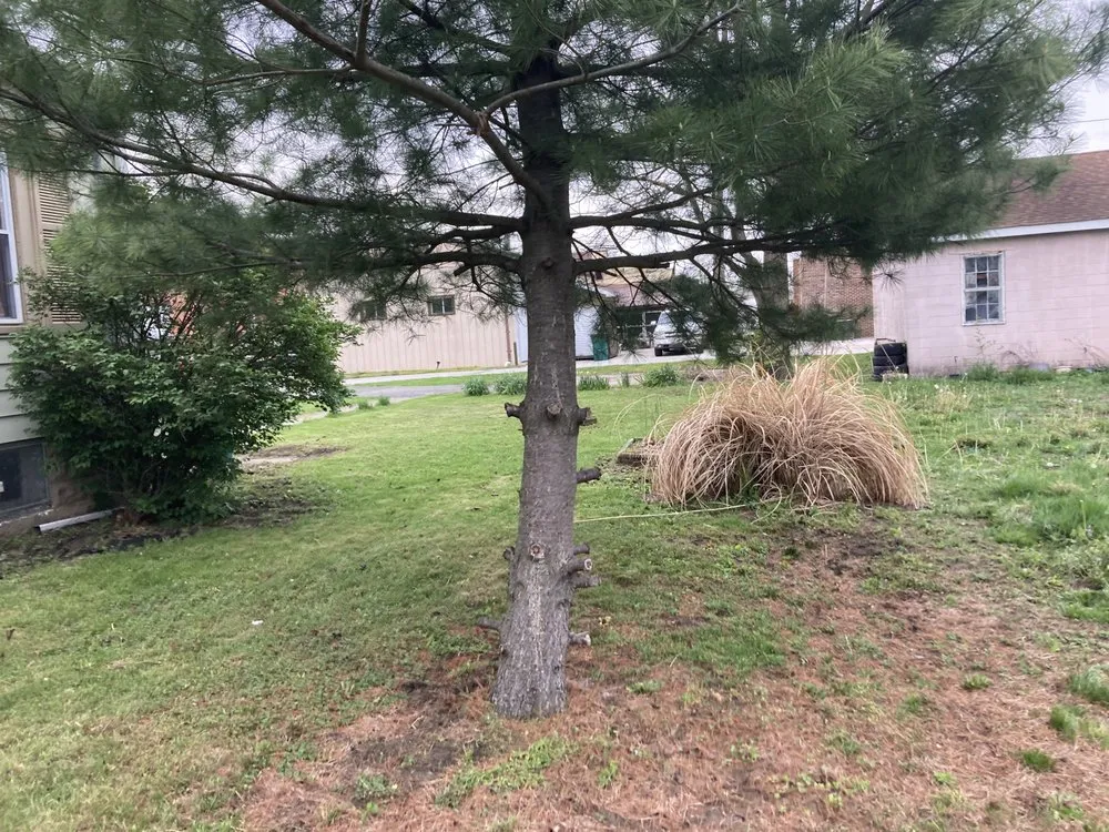 Local residential landscaping for homes in North Judson, IN by Beauchampion Lawn Care