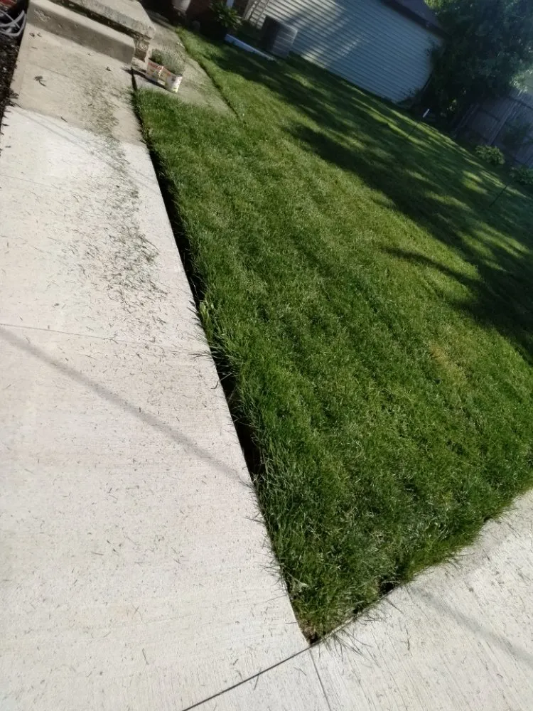 Top-rated lawn care service experts serving Detroit, MI - Beauchamps Landscaping