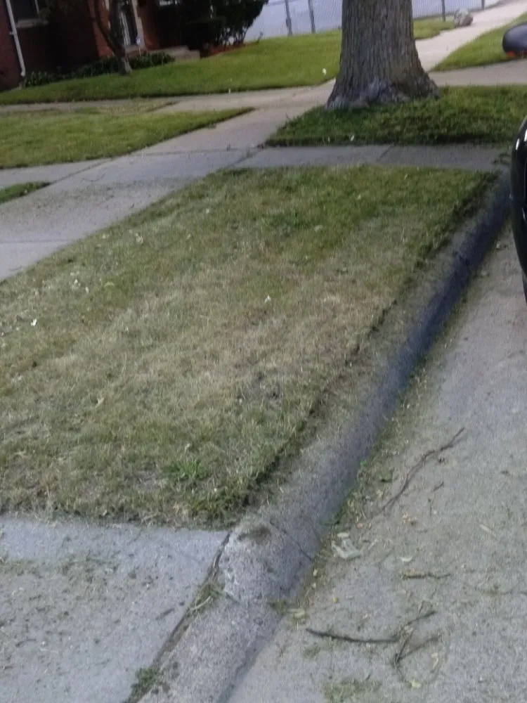 Local landscape design in Detroit, MI - Beauchamps Landscaping