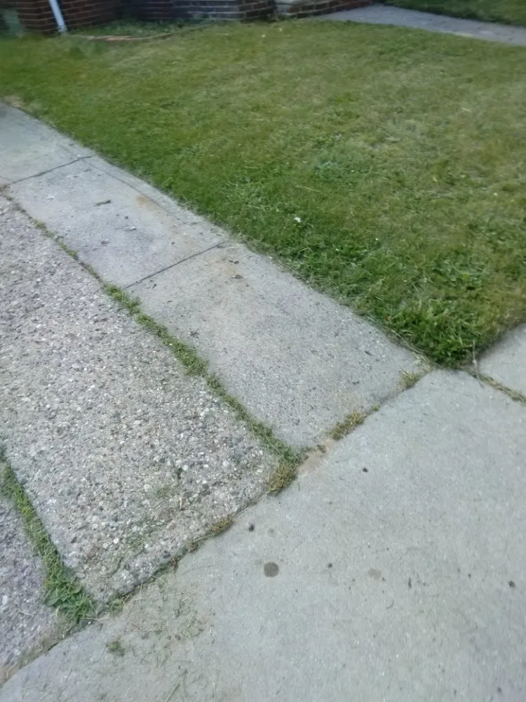 Custom lawn care service in Detroit, MI by Beauchamps Landscaping