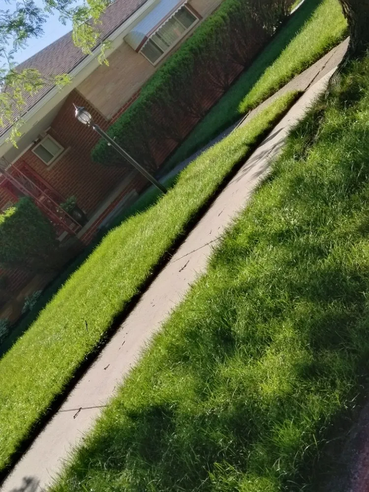 Expert landscape design in Detroit, MI by Beauchamps Landscaping