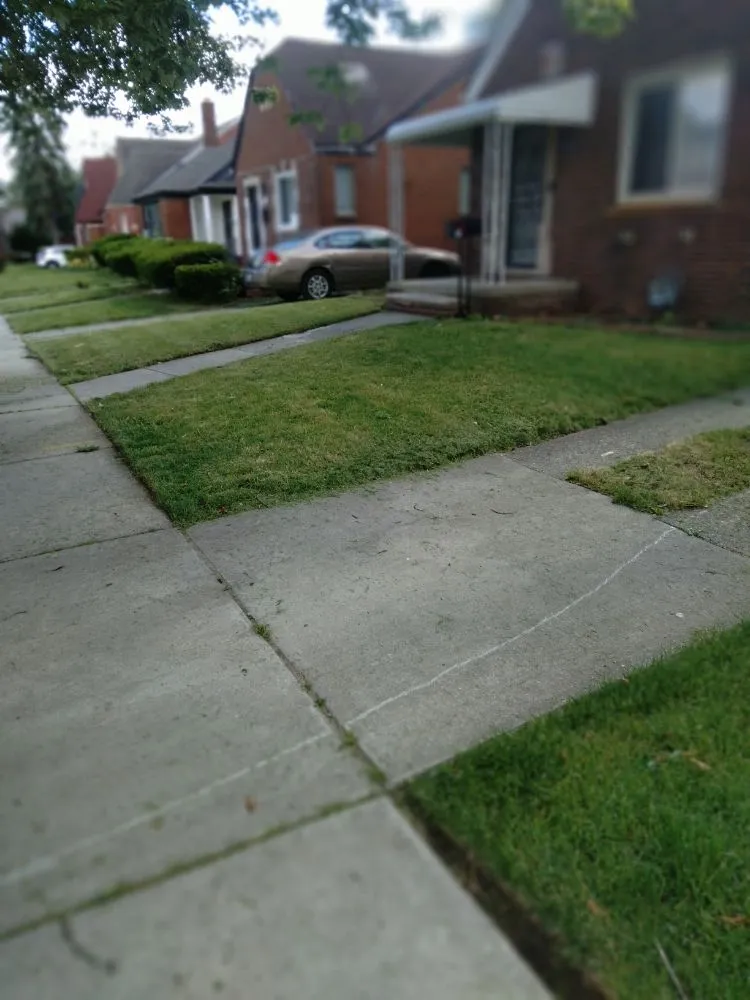 Top-rated yard cleanup service in Detroit, MI by Beauchamps Landscaping