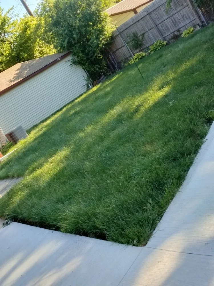 Affordable landscape design for residential properties in Detroit, MI by Beauchamps Landscaping