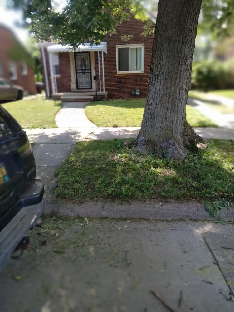 Custom lawn mowing service in Detroit, MI - Beauchamps Landscaping