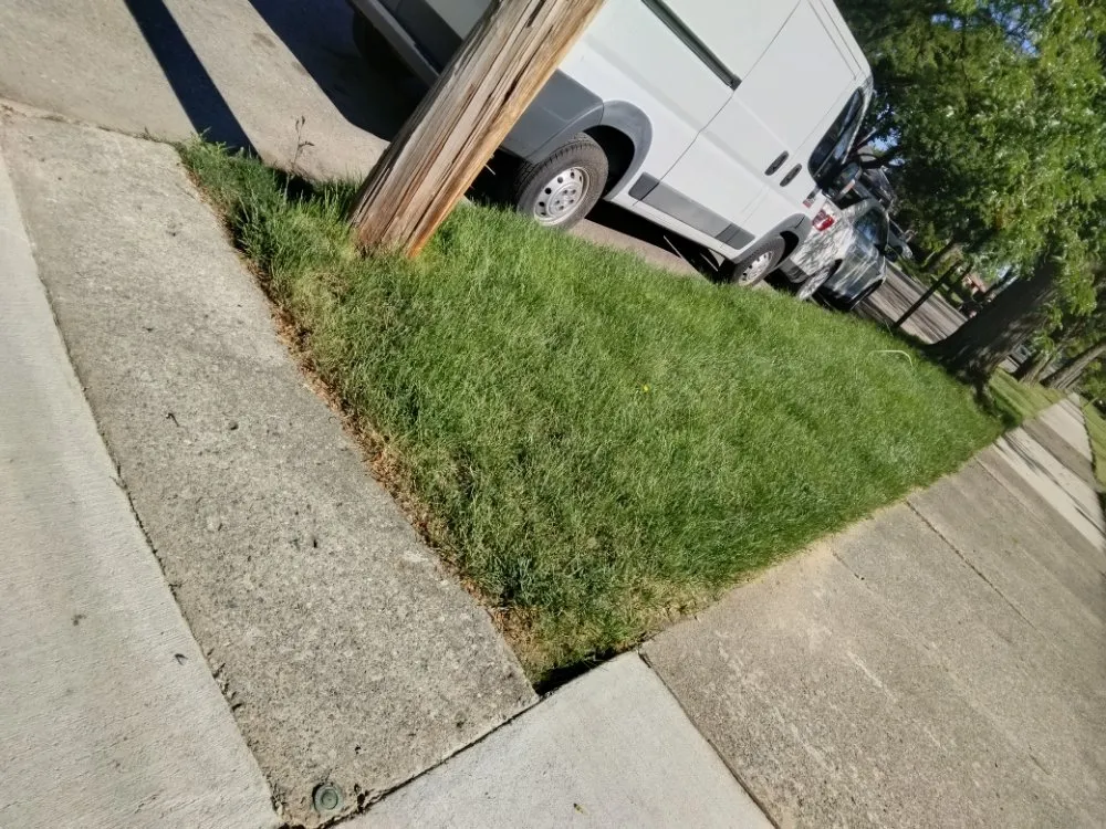 Top-rated lawn care service for outdoor upgrades across Detroit, MI - Beauchamps Landscaping