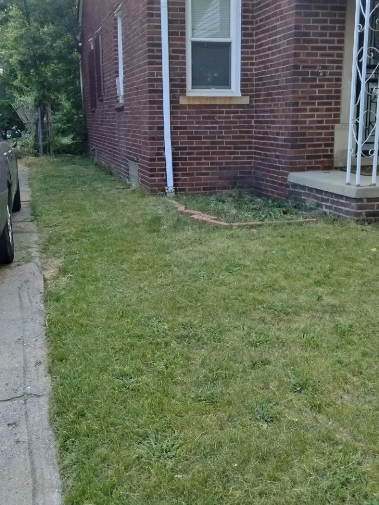 Custom yard cleanup service with custom design across Detroit, MI - Beauchamps Landscaping