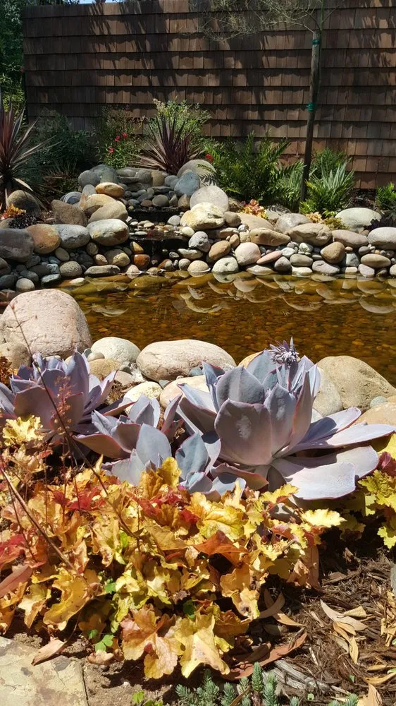 Trusted lawn care service for homes across La Mesa, CA - Beaudry Garden Design