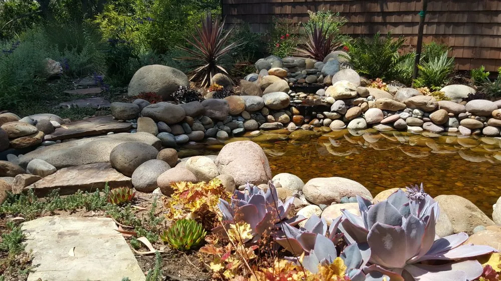 Affordable outdoor landscaping for year-round maintenance across La Mesa, CA - Beaudry Garden Design